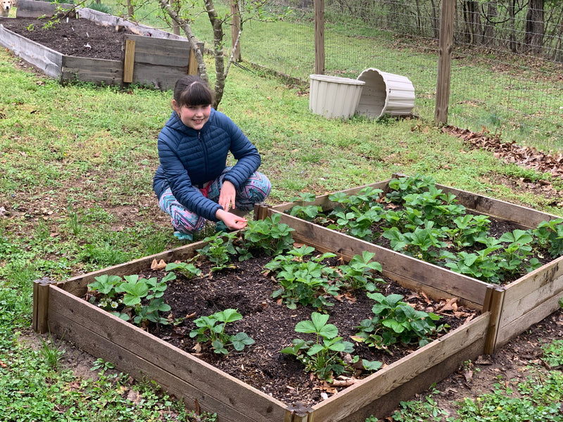 Spring gardening